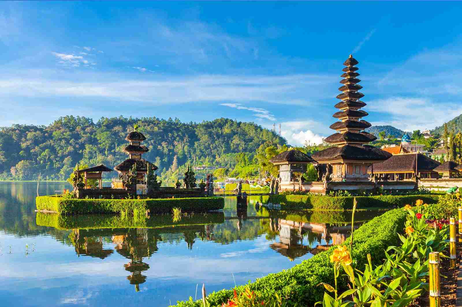 Bali Domain name Partnership Opportunities